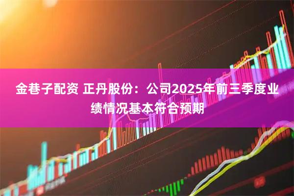 金巷子配资 正丹股份：公司2025年前三季度业绩情况基本符合预期