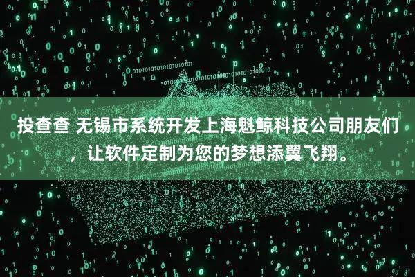 投查查 无锡市系统开发上海魁鲸科技公司朋友们，让软件定制为您的梦想添翼飞翔。
